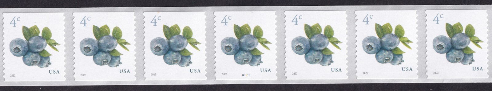Scott #5653 Blueberries Plate # Coil (PNC7) of 7 Stamps - MNH