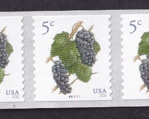 Scott #5038 Grapes Plate # Coil (PNC9) of 9 Stamps - MNH