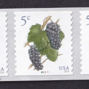 Scott #5038 Grapes Plate # Coil (PNC7) of 7 Stamps - MNH