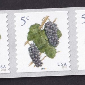 Scott #5038 Grapes Plate # Coil (PNC5) of 5 Stamps - MNH