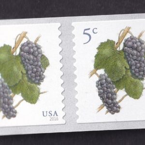 Scott #5038 Grapes Coil Pair of Stamps - MNH