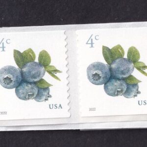 Scott #5653 Blueberries (4¢) 40 Coil Stamps - MNH