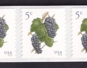 Scott #5038 Grapes (5¢) 40 Coil Stamps - MNH