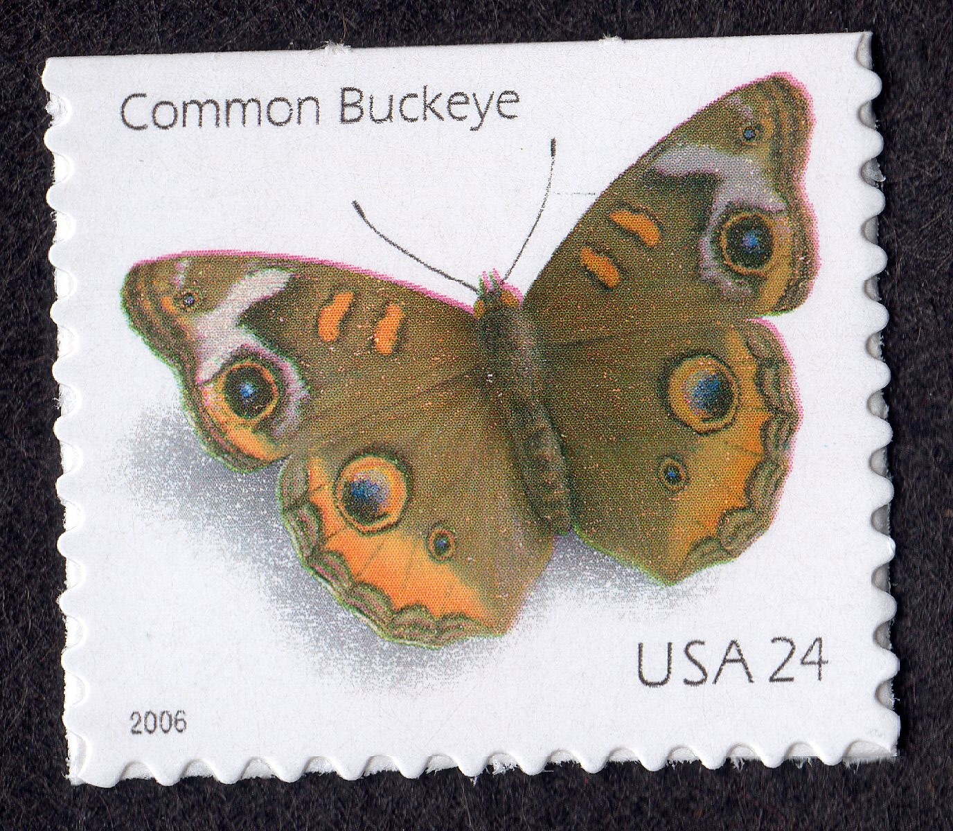 Scott #4001b Common Buckeye Booklet Single Stamp - MNH