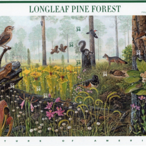 Scott #3611 LongLeaf Pine Forest (Nature Series) Sheet of 10 Stamps - MNH