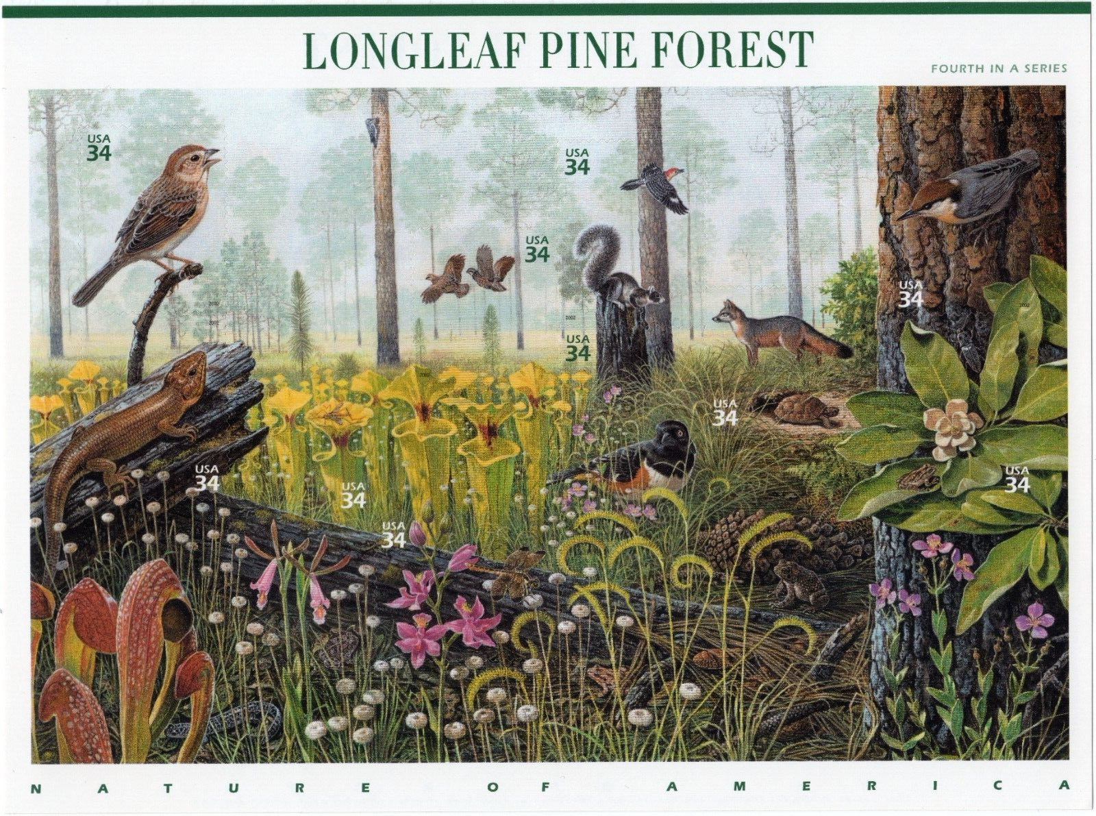 Scott #3611 LongLeaf Pine Forest (Nature Series) Sheet of 10 Stamps - MNH