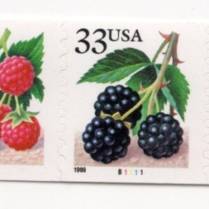 Scott #3302-3305a Berries Plate Number Coil (PNC5) of 5 Stamps - MNH P#B1111
