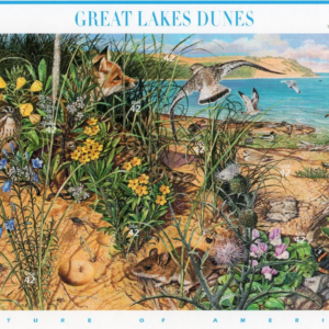 Scott #4352 Great Lakes Dunes (Nature Series) Sheet of 10 Stamps - MNH