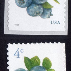 Scott #5652-5653 Blueberries Coil & Sheet Single Stamp - MNH