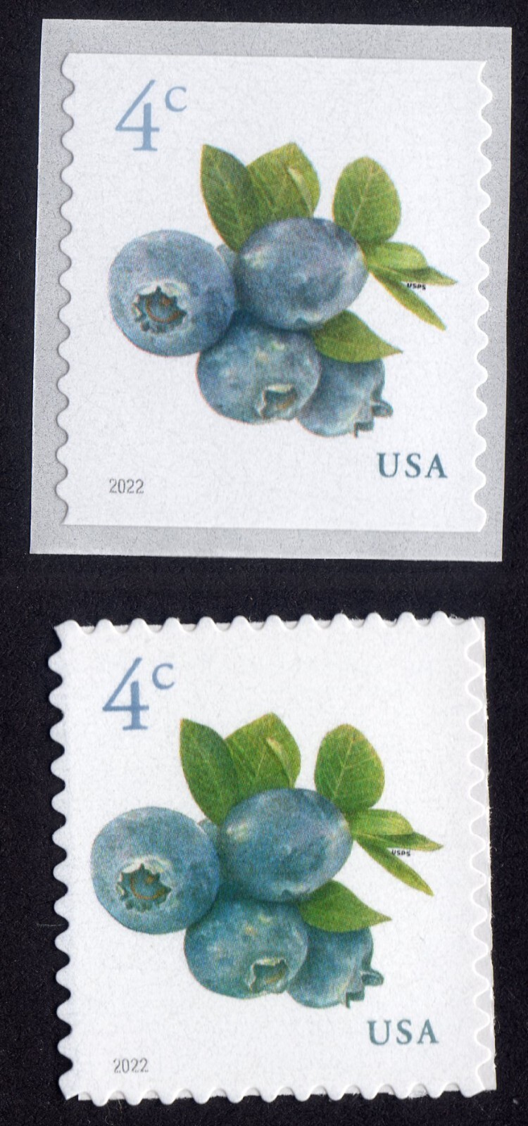 Scott #5652-5653 Blueberries Coil & Sheet Single Stamp - MNH