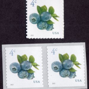 Scott #5652-5653 Blueberries Single Stamp & Coil Pair - MNH