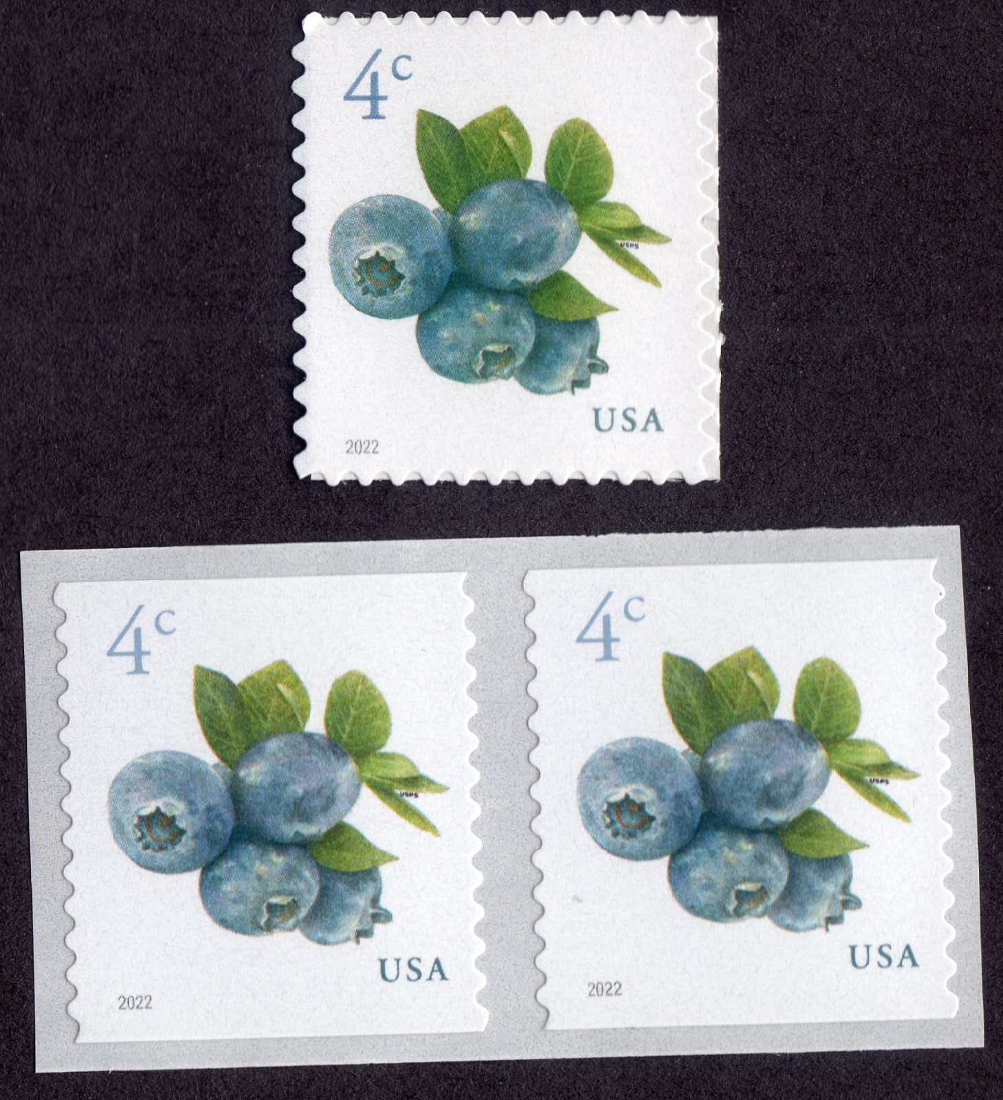 Scott #5652-5653 Blueberries Single Stamp & Coil Pair - MNH