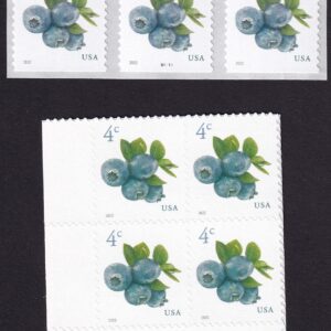 Scott #5652-5653 Blueberries Plate Block & Plate # Coil (PNC3) of 3 Stamps - MNH