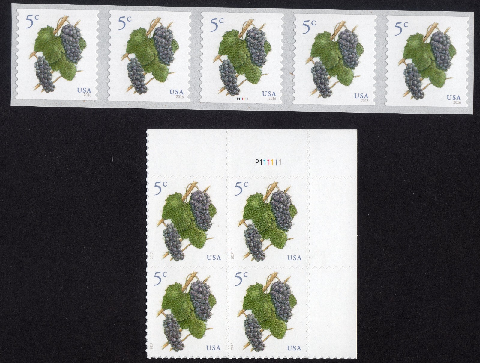 Scott #5038-5177 Grapes Plate Block & Plate # Coil (PNC5) of 5 Stamps - MNH