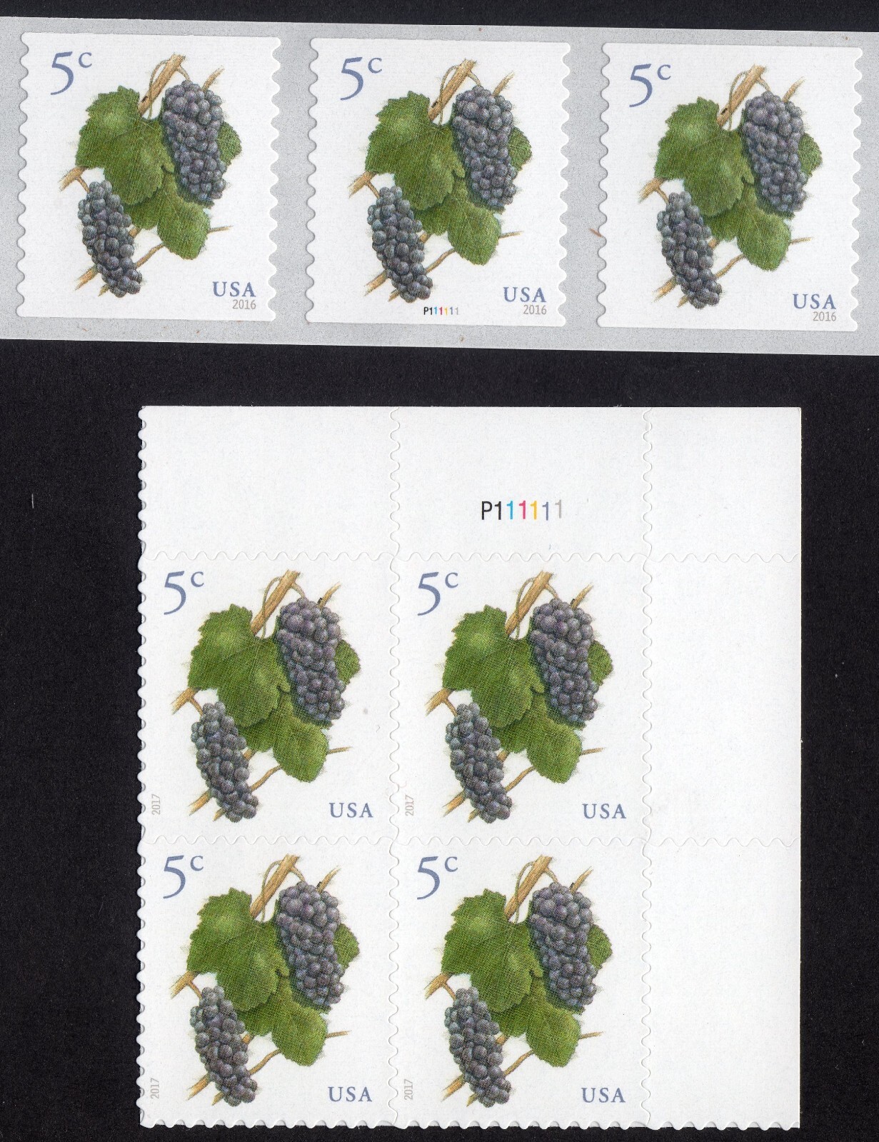 Scott #5038-5177 Grapes Plate Block & Plate # Coil (PNC3) of 3 Stamps - MNH