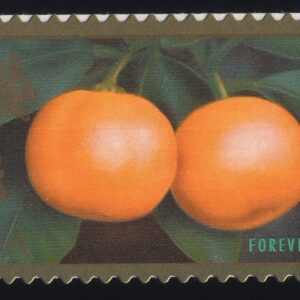 Scott #4492 Lunar (Chinese) Rabbit New Year Single Stamp - MNH