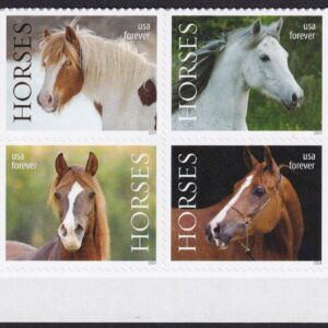 Scott #5895a (5891-95) Horses Plate Block of 8 Forever Stamps - MNH UV Bottom