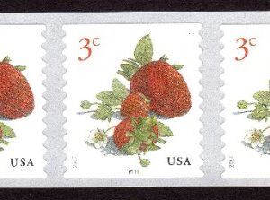 Scott #5201 Strawberries Plate # Coil (PNC9) of 9 Stamps - MNH