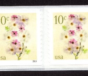 Scott #5906 Poppies & Coneflowers Strip of 20 Coil Stamps - MNH