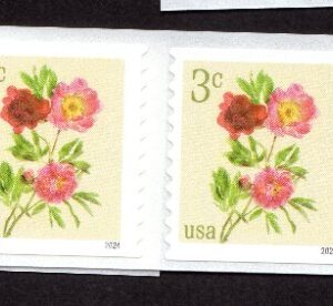 Scott #5904 Peonies Strip of 20 Coil Stamps - MNH