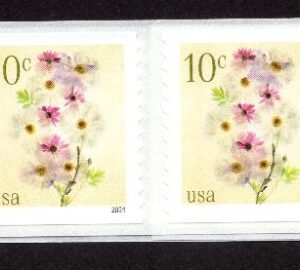 Scott #5906 Poppies & Coneflowers Strips of 20 Coil Stamps - MNH