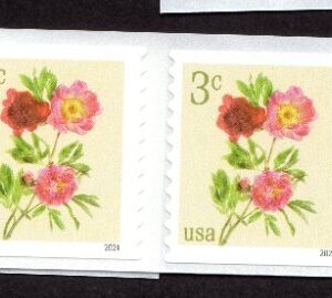 Scott #5904 Peonies Strips of 20 Coil Stamps - MNH