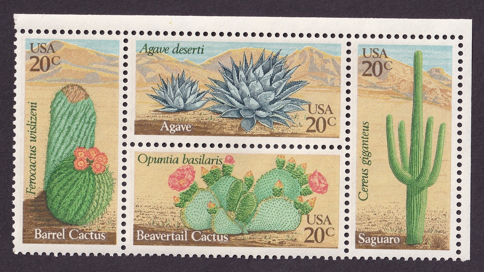 Scott #1945a (1942-45) Cactus (Desert) Block of 4 Stamps - MNH