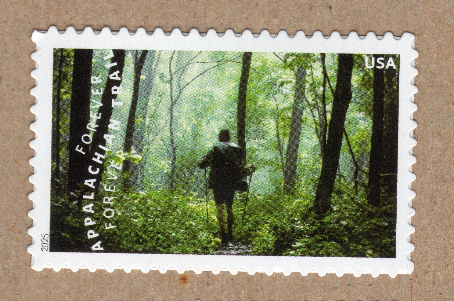 Scott #5960a Appalachian Trail Hiker USA Single Forever Stamps - MNH