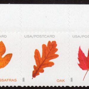 Scott #5970a (5966-70) Vibrant Leaves Postcard Plate # Strip of 5 Stamps - MNH