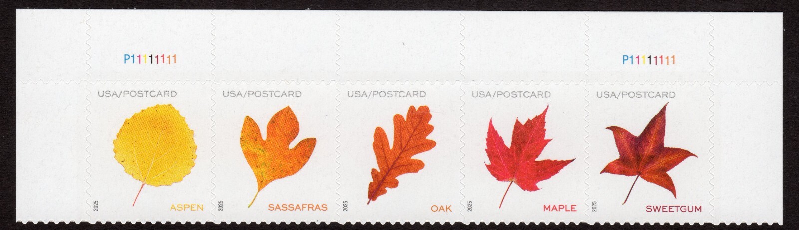 Scott #5970a (5966-70) Vibrant Leaves Postcard Plate # Strip of 5 Stamps - MNH
