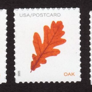 Scott #5970a (5966-70) Vibrant Leaves (5) Single Postcard Stamps - MNH