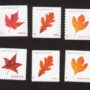 Scott #5970a-5975a Vibrant Leaves Postcard Set of 5 Sheet & Coil Stamps - MNH