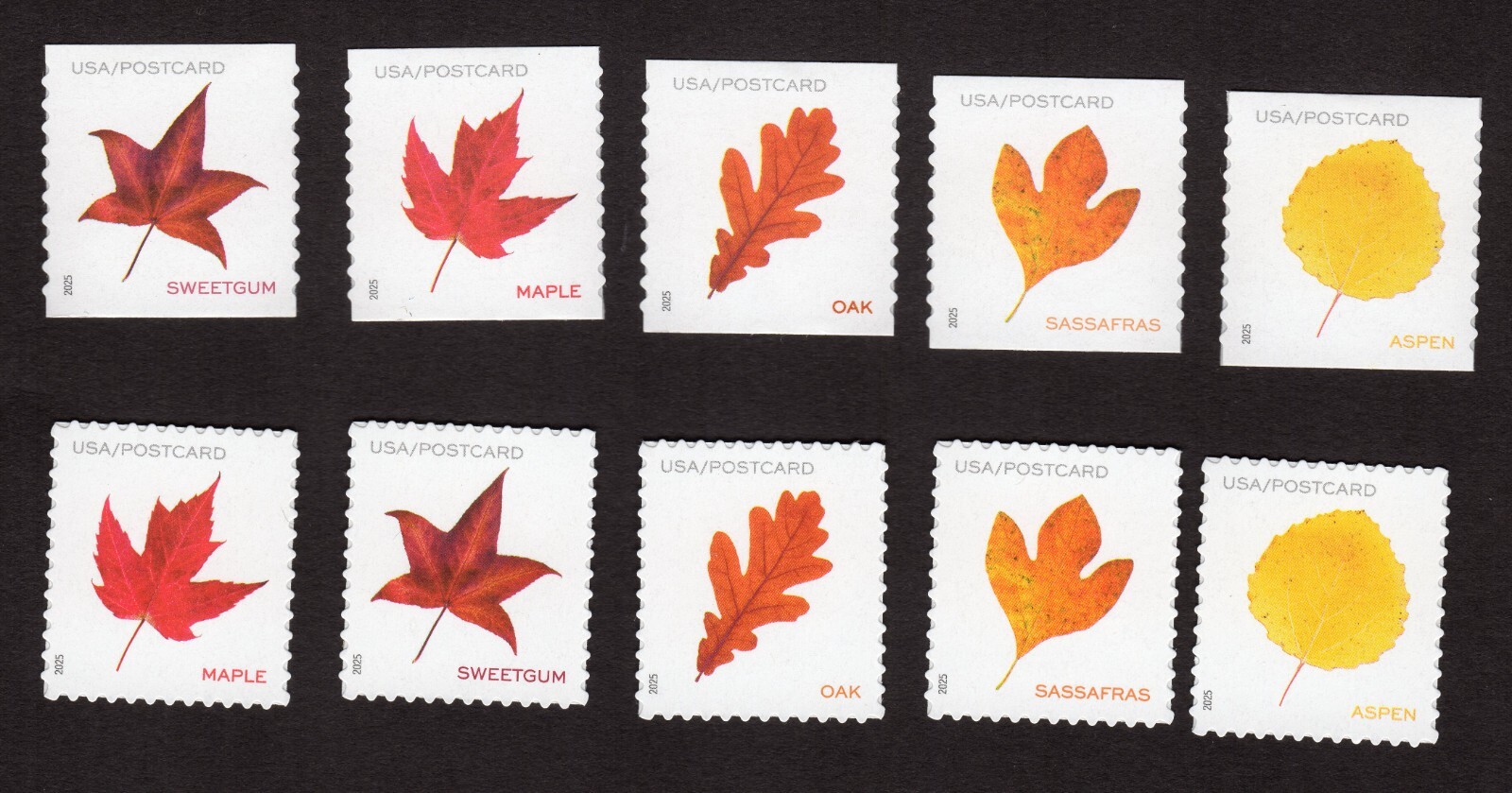 Scott #5970a-5975a Vibrant Leaves Postcard Set of 5 Sheet & Coil Stamps - MNH