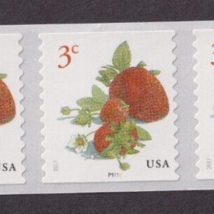 Scott #5201 Strawberries (3¢) 40 Coil Stamps - MNH