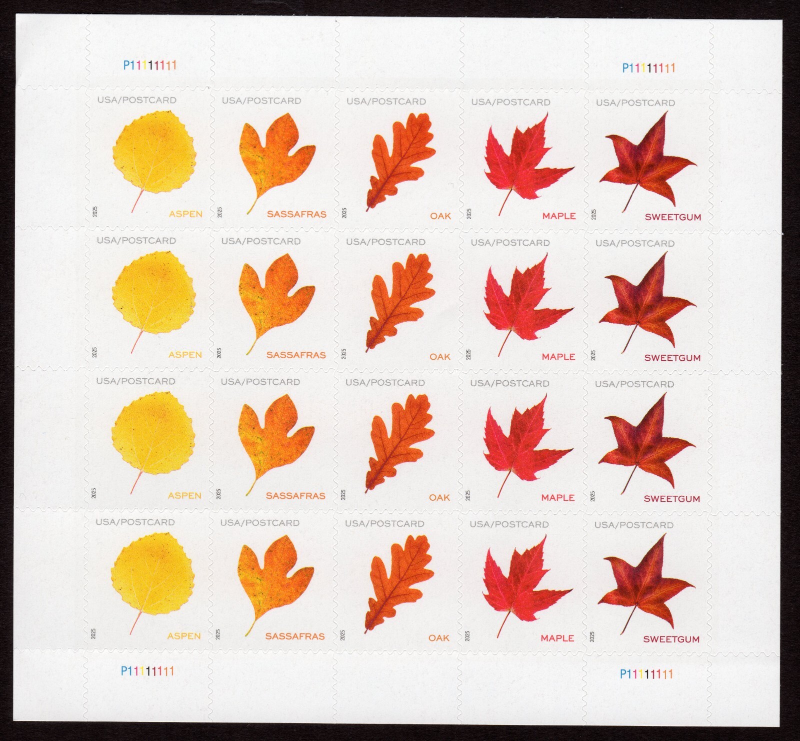 Scott #5970a (5966-70) Vibrant Leaves Postcard Sheet of 20 Stamps - Sealed