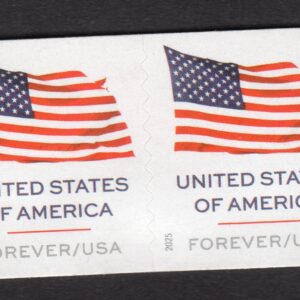 Scott #6025 Flag Coil Pair of Stamps - MNH APU