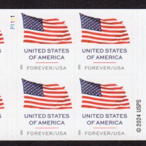 Scott #6020 Flag Booklet (APU) of 20 Forever Stamps - MNH P#P1111