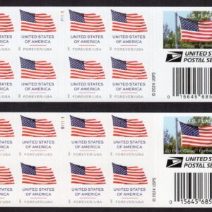 Scott #6020 6021 Flag Booklet of 20 Forever Stamps - MNH (APU & BCA)