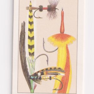 Scott #BK189 FISHING FLIES (2545-2549) Booklet of 20 29¢ Stamps - MNH