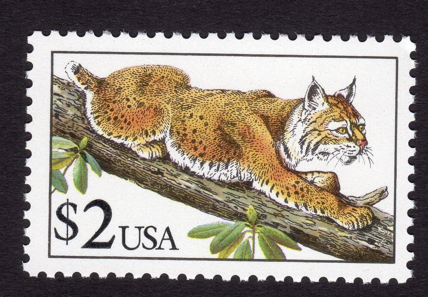 Scott #2482 Bobcat Single Stamp - MNH