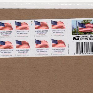 Scott #6020 Flag Booklet (APU) of 20 Forever Stamps - Sealed P#P1111