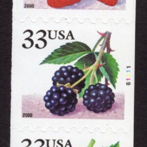 Scott #3407a (3404) Berries Fruit Plate # Coil (PNC5) of 5 Stamps - MNH #1