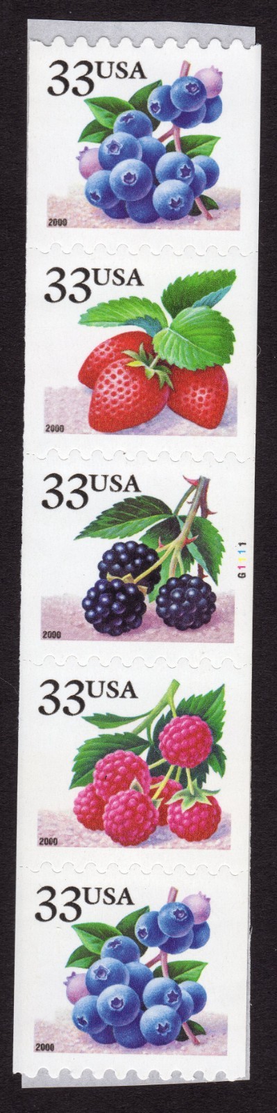 Scott #3407a (3404) Berries Fruit Plate # Coil (PNC5) of 5 Stamps - MNH #1
