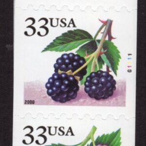 Scott #3407a (3404) Berries Fruit Plate # Coil (PNC5) of 5 Stamps - MNH #2