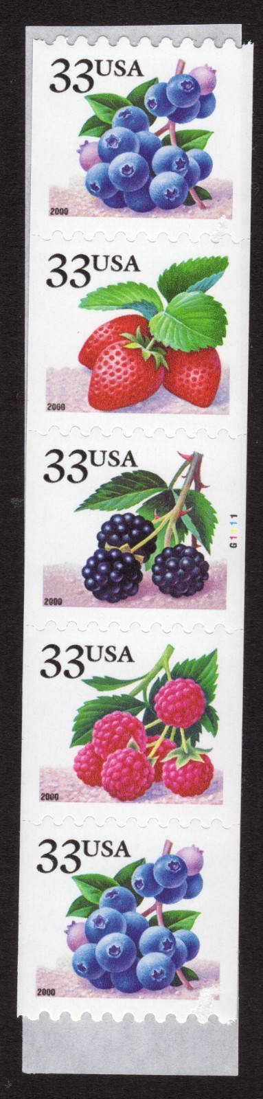 Scott #3407a (3404) Berries Fruit Plate # Coil (PNC5) of 5 Stamps - MNH #2