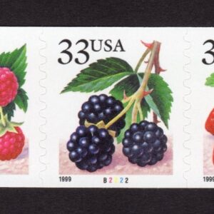 Scott #3305a (3302) Berries Fruit Plate # Coil (PNC5) of 5 Stamps - MNH P#B2222