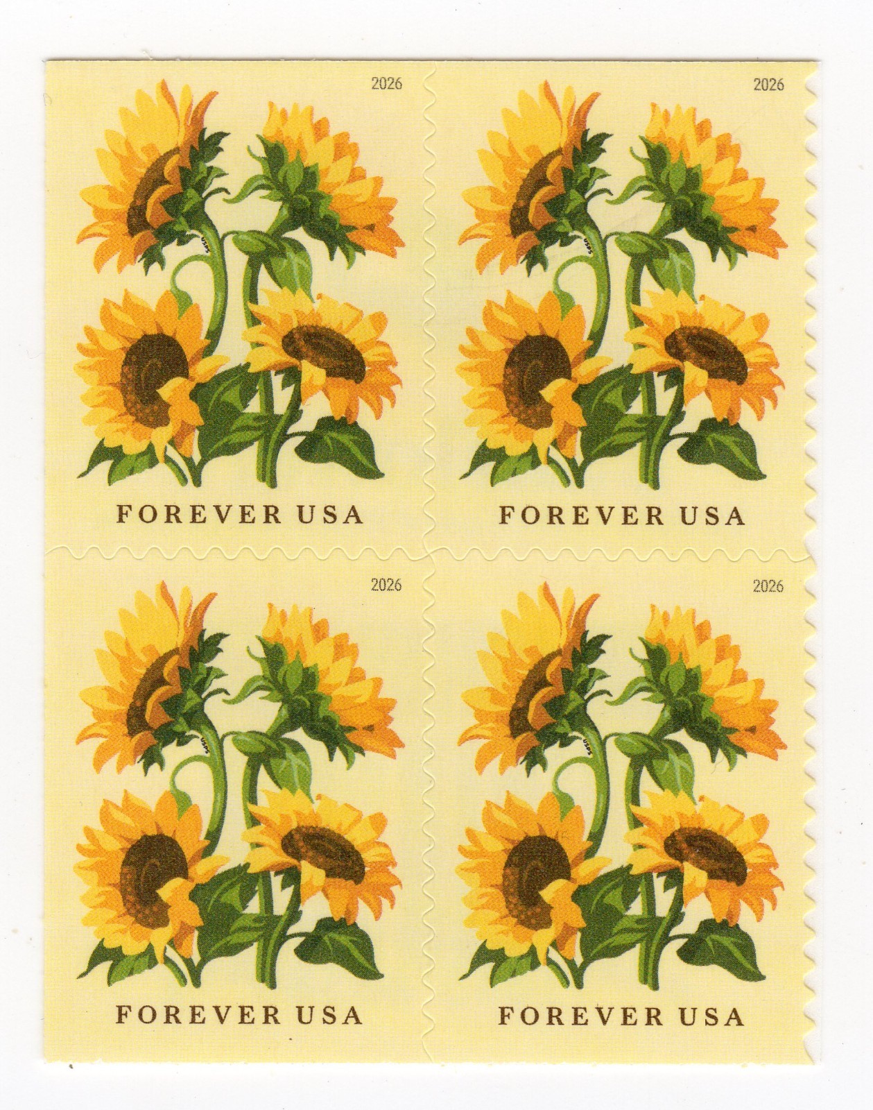 Scott #6067 Sunflower Booklet Pane of 4 Forever Stamps - MNH