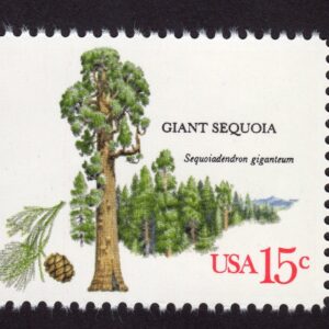 Scott #1764 1978 Arboretum 15¢ Giant Sequoia Single Stamp - MNH
