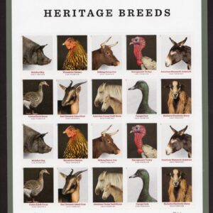 Scott #5592 (5583) Heritage Breeds Sheet of 20 Forever Stamps - MNH 2021