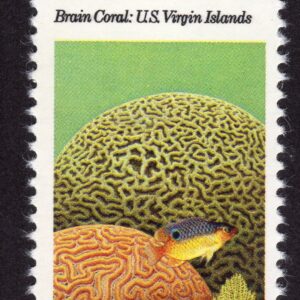 Scott #1827 Brain Coral Reef Single Stamp - MNH